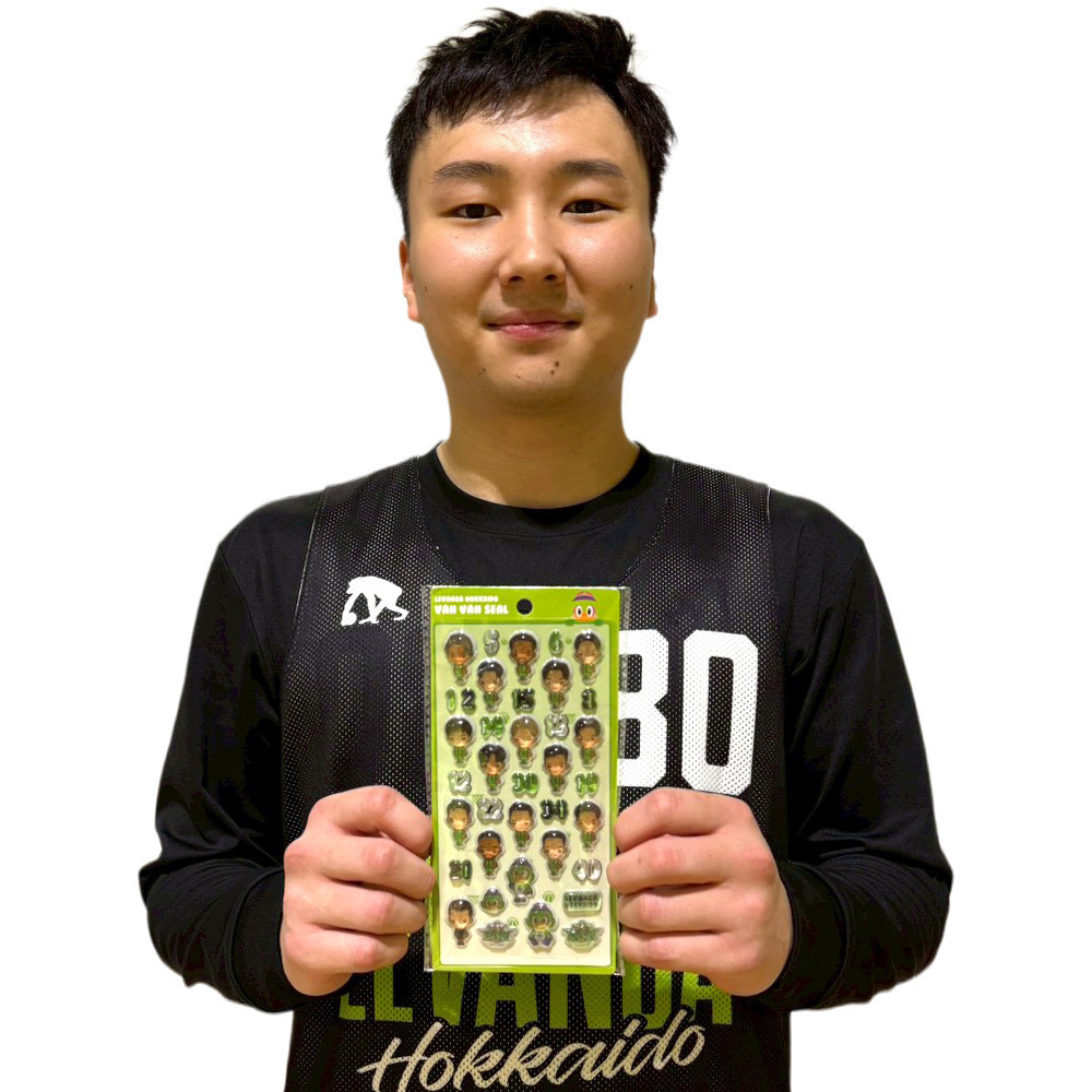 レバンガVANVANシール 2シートセット 詳細画像 ワンカラー 2