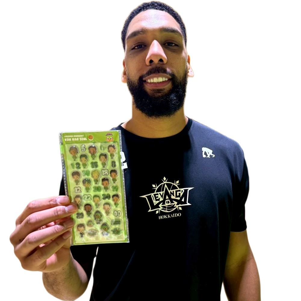 レバンガVANVANシール 2シートセット 詳細画像 ワンカラー 5