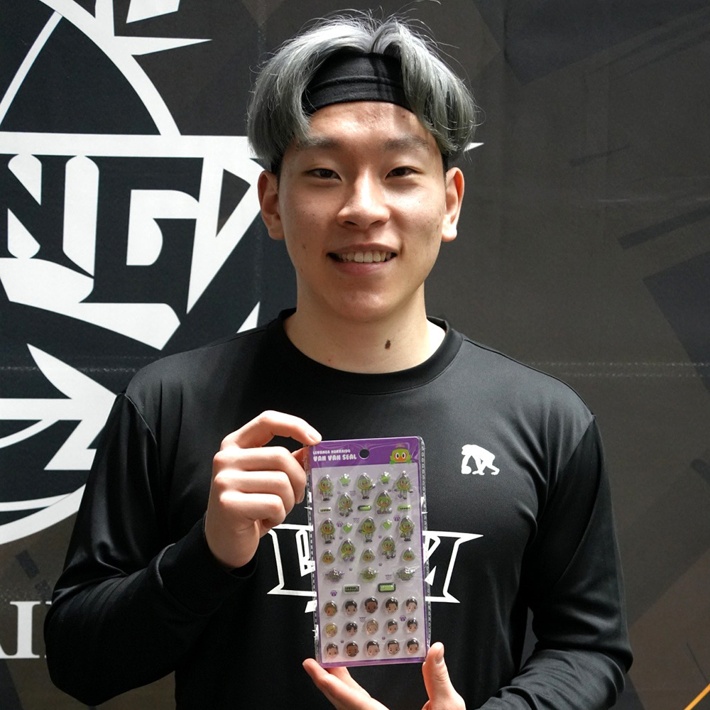 レバンガVANVANシール Vol.2  2シートセット 詳細画像 ワンカラー 8