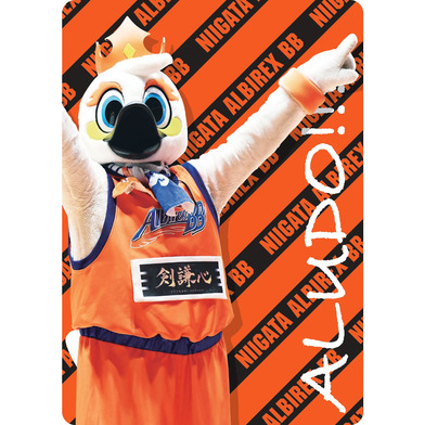 2021-22アルード下敷き