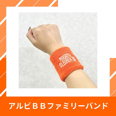 アルビＢＢファミリーバンド