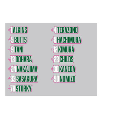 選手名ダイカットアクキー