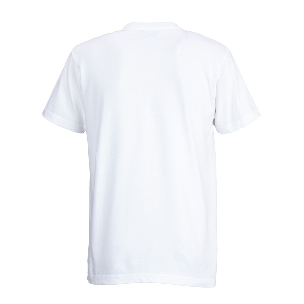 RYUKYU SHISA TEE 詳細画像 ホワイト 3