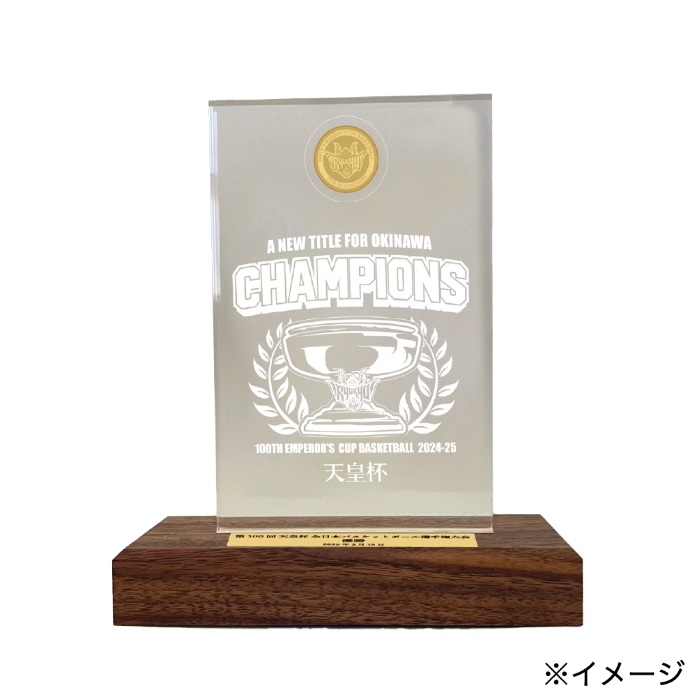 じゅん様 ご購入予定品 （BLIVALNOA ONEMAN LIVE 〜My Way〜in TOKYOの 