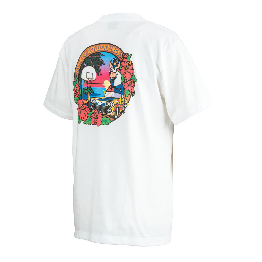 Gordy Driving Tee [WHT] 詳細画像 ホワイト 1