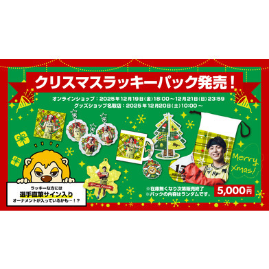 【期間限定】クリスマスラッキーパック