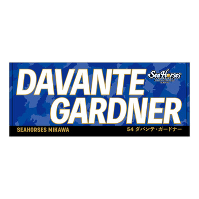 2025-26 ネームフェイスタオル