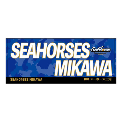 2025-26 ネームフェイスタオル