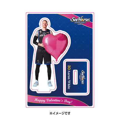 2025-26 アクリルスタンド バレンタインver.