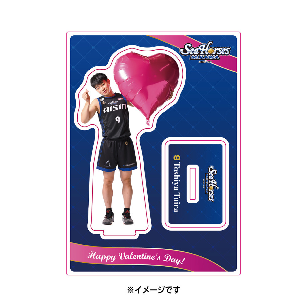 2025-26 アクリルスタンド バレンタインver.｜シーホース三河｜B