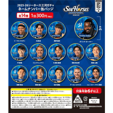 【2025-26 ガチ☆ガチャ】ネームナンバー缶バッジ全14種