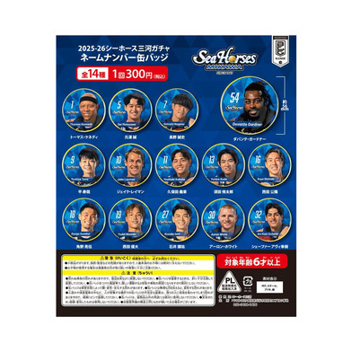 【2025-26 ガチ☆ガチャ】ネームナンバー缶バッジ全14種