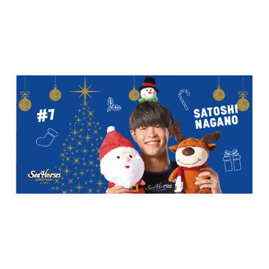 【シークレット】クリスマスミニハーフタオル全14種