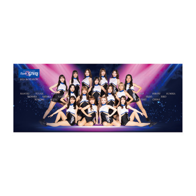 2025-26 Super Girls フォトフェイスタオル_集合