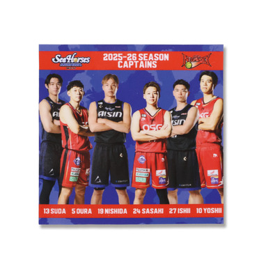 2025-26 三河×三遠 コラボ ステッカー_三河ver