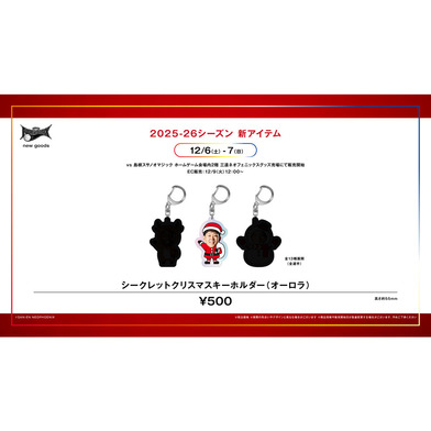 シークレットクリスマスキーホルダー（オーロラ）