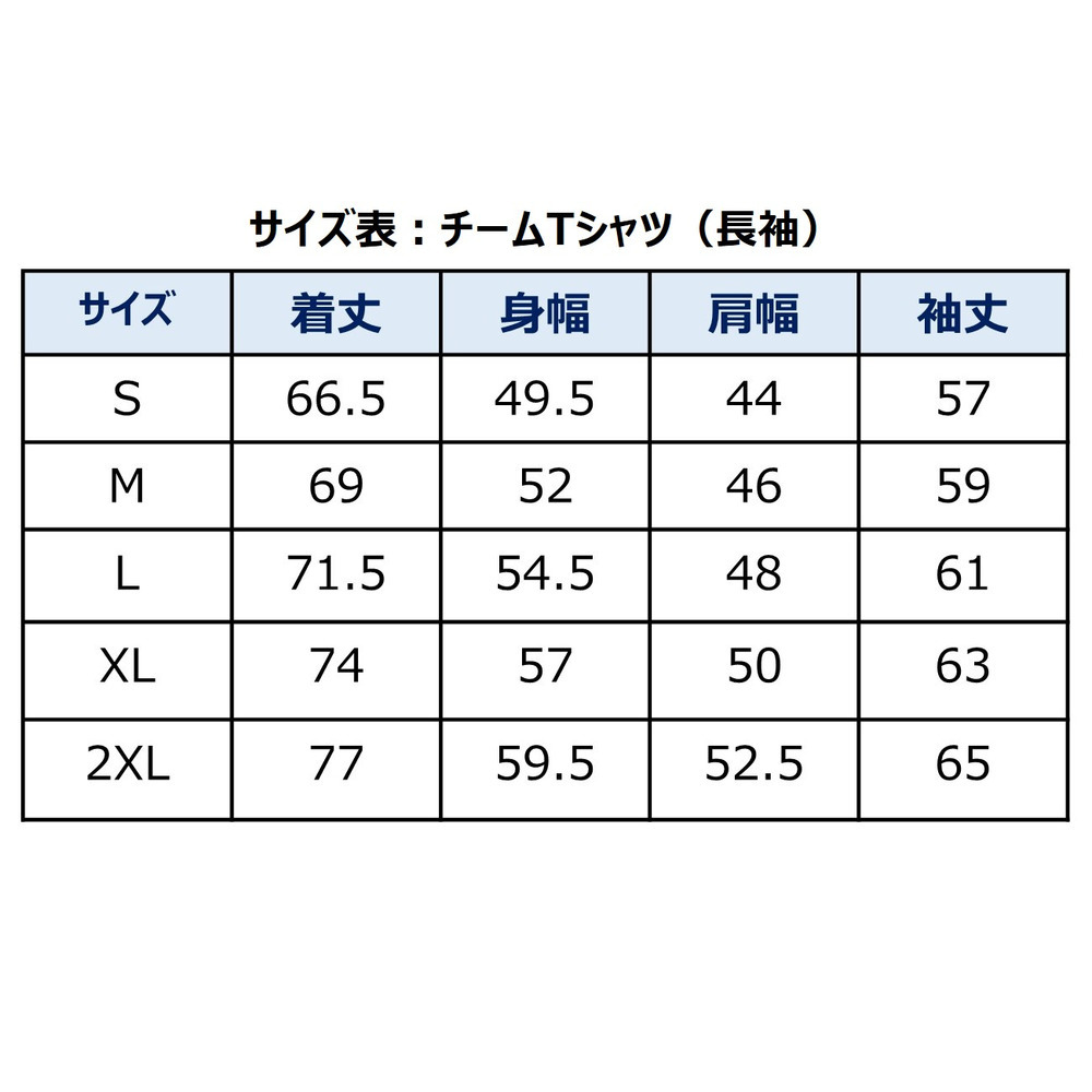 チームTシャツ（長袖）2024-25 詳細画像 2