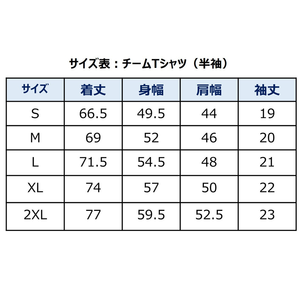 チームTシャツ（半袖）2025-26 詳細画像 2