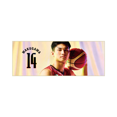 フォトタオル 2025-26