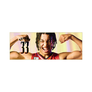 フォトタオル 2025-26