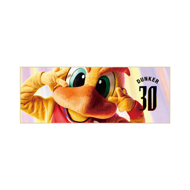 フォトタオル 2025-26