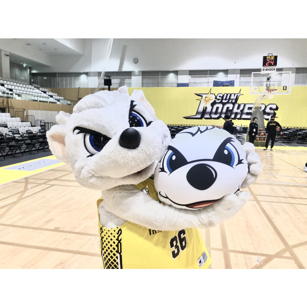 サンディービーズクッション サンロッカーズ渋谷 B League Bリーグ 公式オンラインショップ