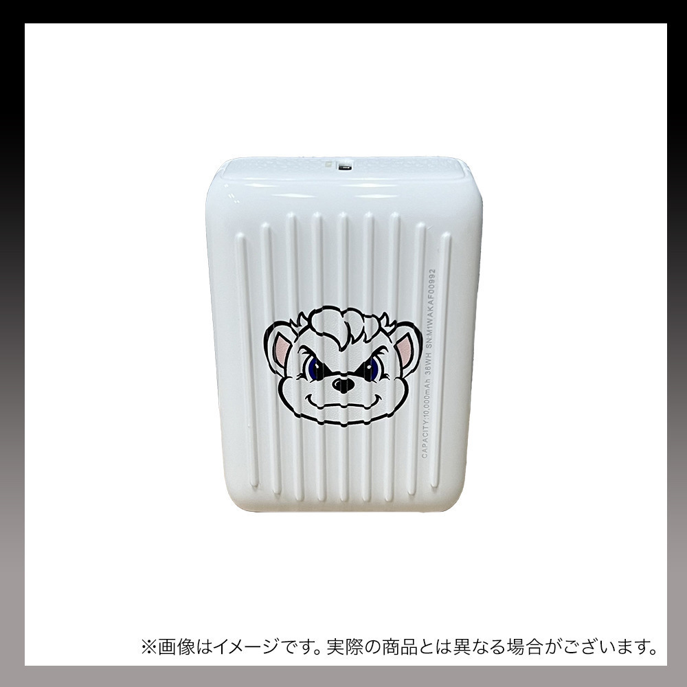 モバイルバッテリー　ZENDURE　SuperMini 詳細画像 ‐ 2