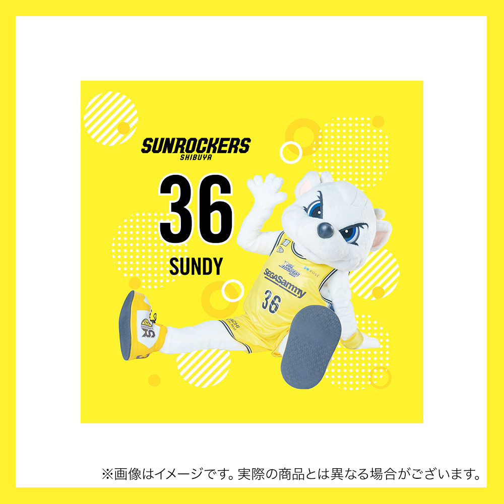 【受注商品】サンディーユニミニタオル 詳細画像 1
