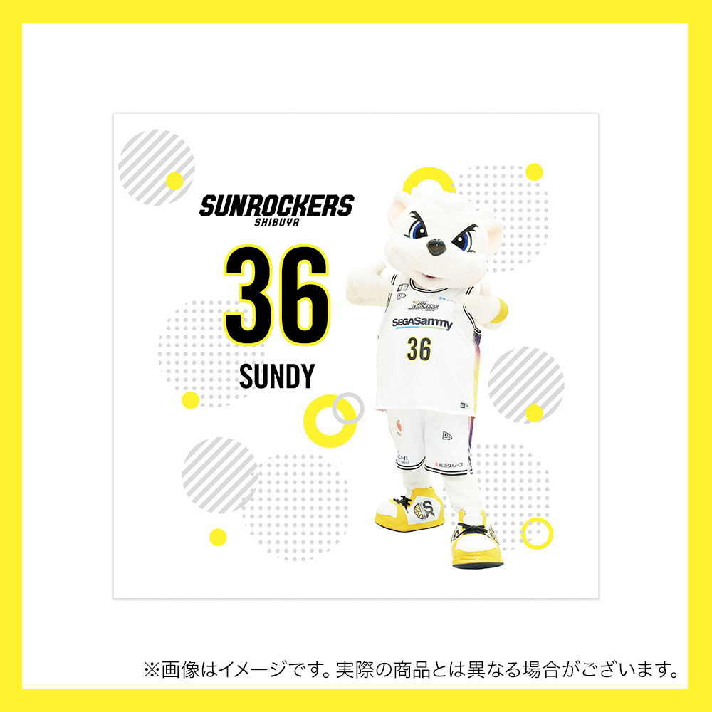 【受注商品】サンディーユニミニタオル 詳細画像 2