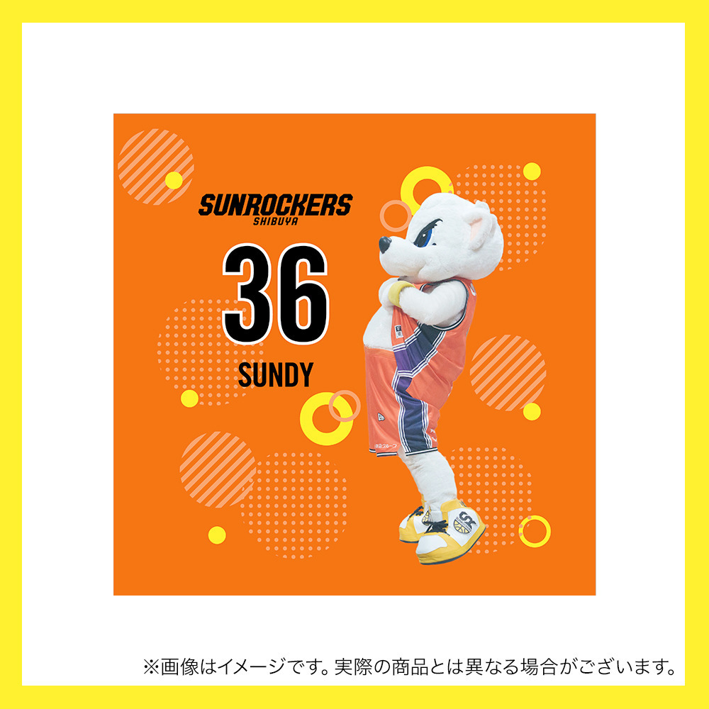 【受注商品】サンディーユニミニタオル 詳細画像 3