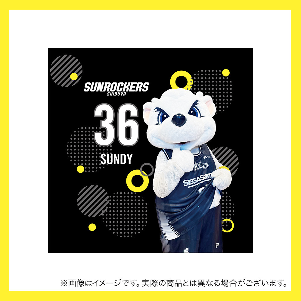 【受注商品】サンディーユニミニタオル 詳細画像 4