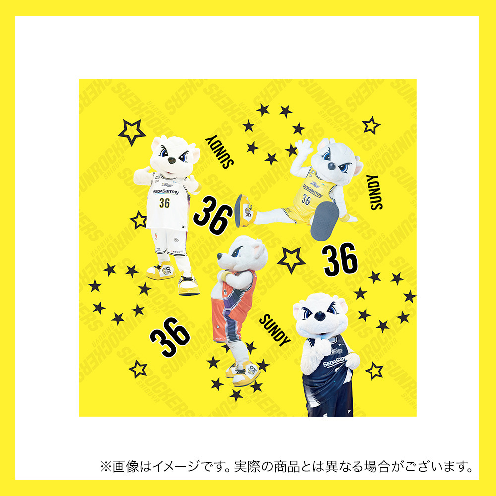 【受注商品】サンディーユニミニタオル 詳細画像 5