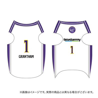 【受注商品】2026ｰ27 ドッグユニフォーム（2nd）