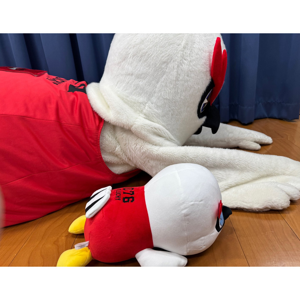 ゴロゴログラッキー 詳細画像 1カラー 4