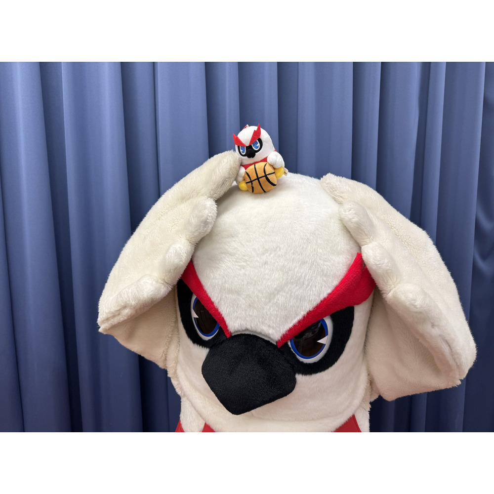 グラッキーボール遊び 詳細画像 1カラー 4