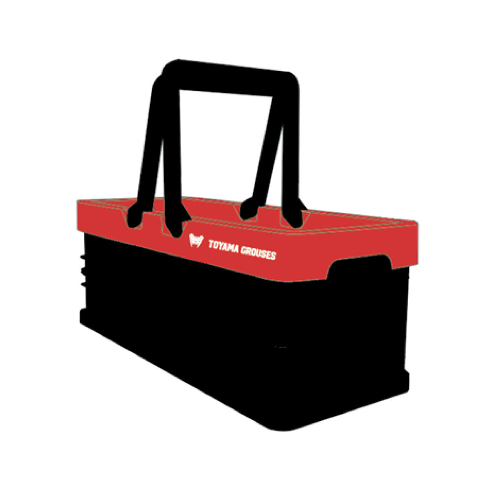 折り畳みミニバスケット 詳細画像 1カラー 1