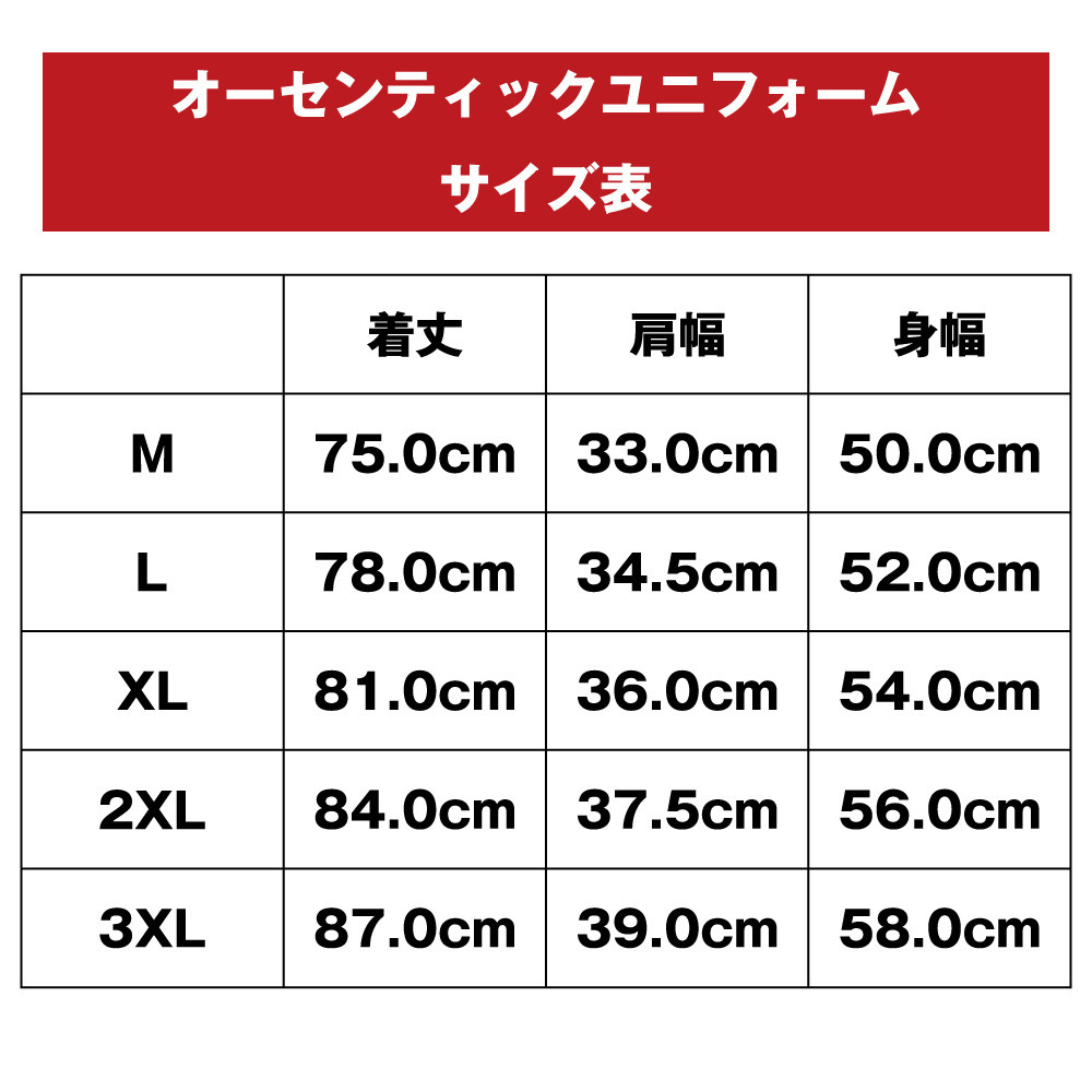 【受注販売】水戸選手契約記念！水戸選手オーセンティックユニフォーム（AWAY） 詳細画像 AWAY 5