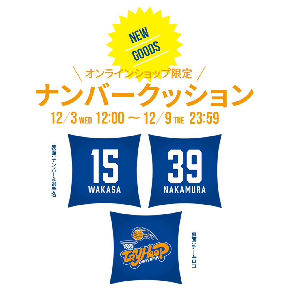 【受注販売】ナンバークッション 詳細画像 #11 秋山 熙 1