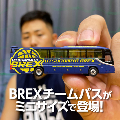 ザ・バスコレクション 関東自動車 宇都宮ブレックスチームバス