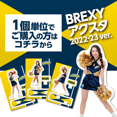 【1個から購入可】2022-23 BREXY miniアクリルスタンド