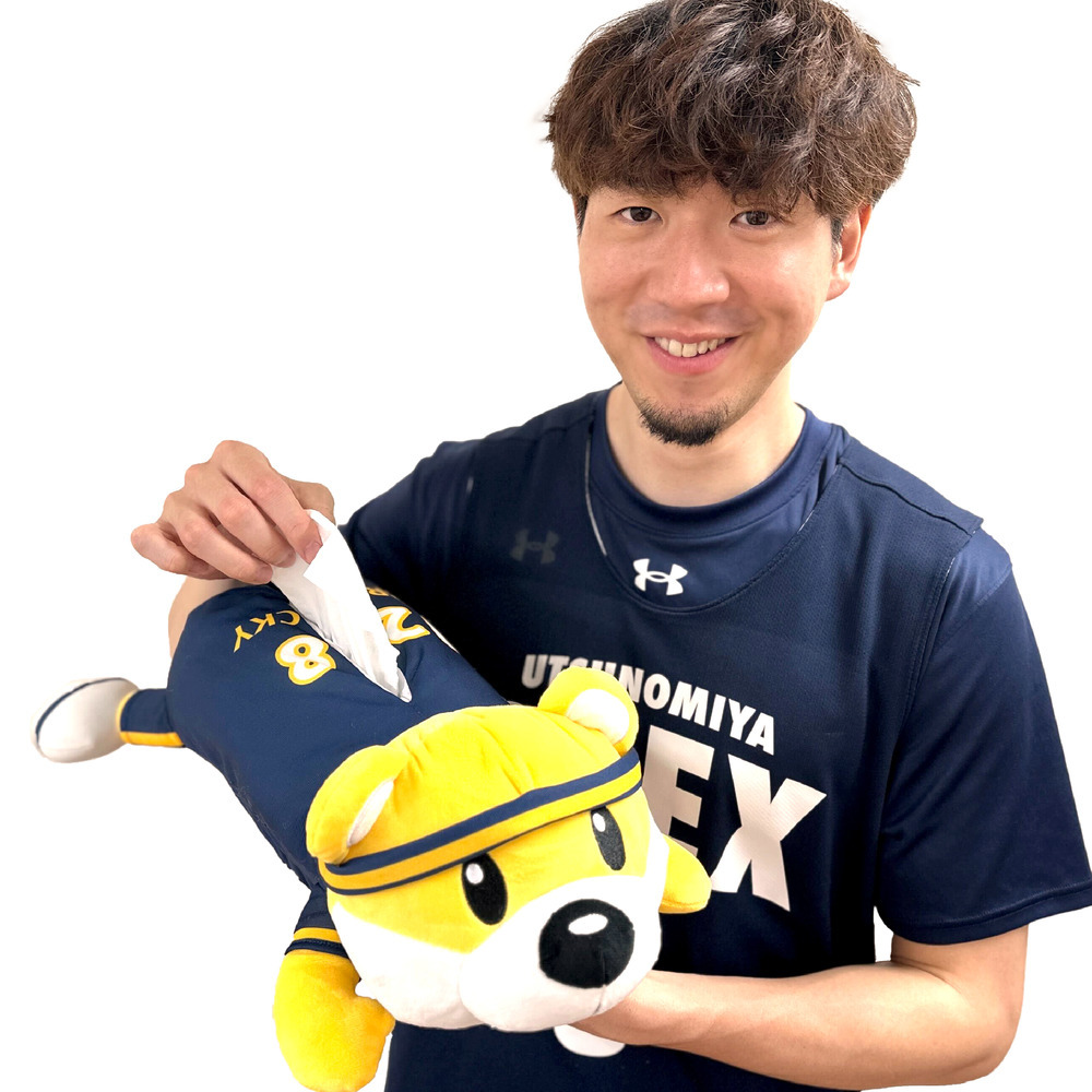 ブレッキーティッシュBOXカバー 詳細画像 1カラー 7