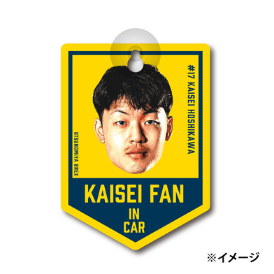 2024-25 BREXカーサイン