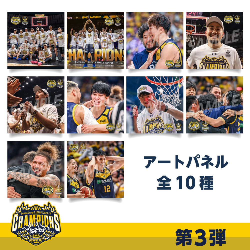 《予約受付 6/9(月)18:00～ 6/15(日)23:59》BREX B.LEAGUE 2024-25 チャンピオン アートパネル 詳細画像 A 1