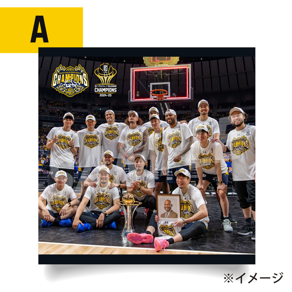 《予約受付 6/9(月)18:00～ 6/15(日)23:59》BREX B.LEAGUE 2024-25 チャンピオン アートパネル 詳細画像 A 2