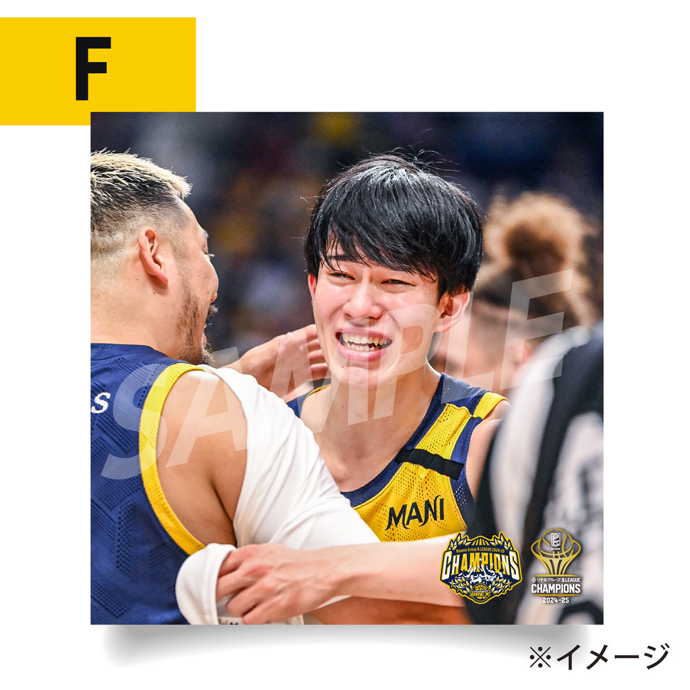 《予約受付 6/9(月)18:00～ 6/15(日)23:59》BREX B.LEAGUE 2024-25 チャンピオン アートパネル 詳細画像 F 1