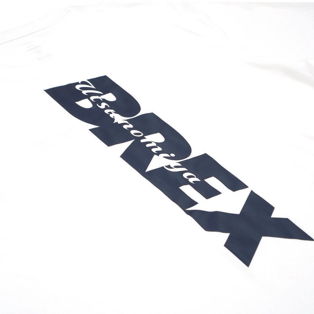 UA BREX S-TEXT バックプリント Tシャツ 詳細画像 ホワイト 5