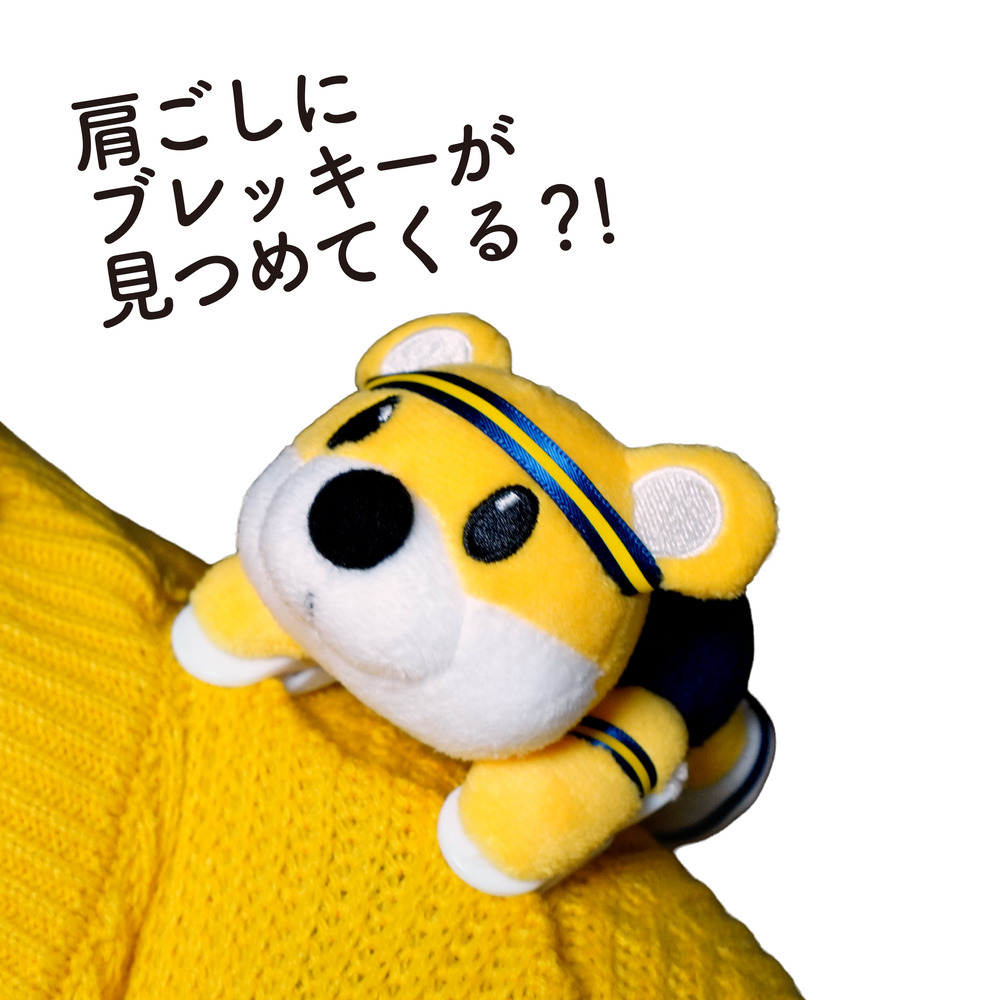 肩のせブレッキー 詳細画像 1カラー 2