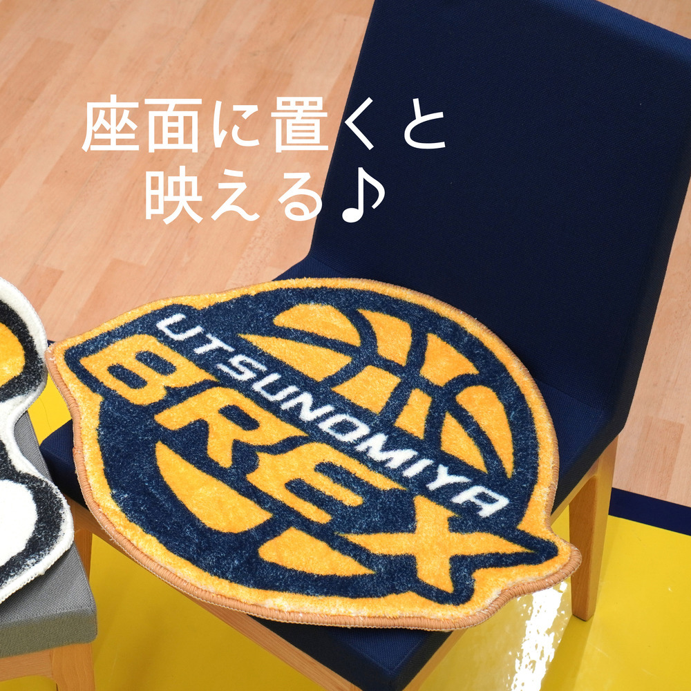 【再入荷】フロアマット 詳細画像 BREXロゴ 5