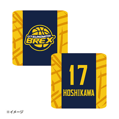 2025-26 選手リストバンド（ロゴ）ネイビー