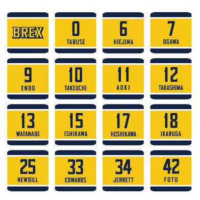 2025-26 選手リストバンド（BREX）イエロー